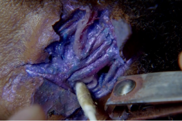 Titulky k Almost Human S01E03 - Are You Receiving?