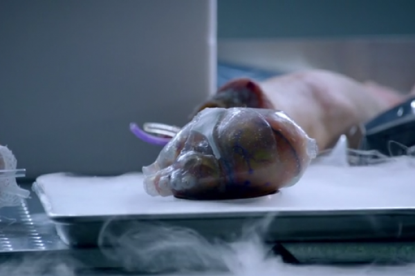 Titulky k Almost Human S01E06 - Arrhythmia