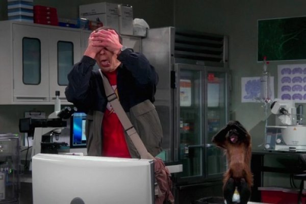 Titulky k The Big Bang Theory S07E05 - The Workplace Proximity