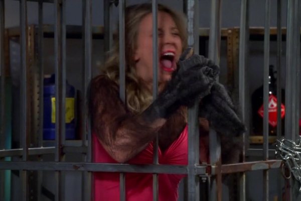 Titulky k The Big Bang Theory S07E23 - The Gorilla Dissolution