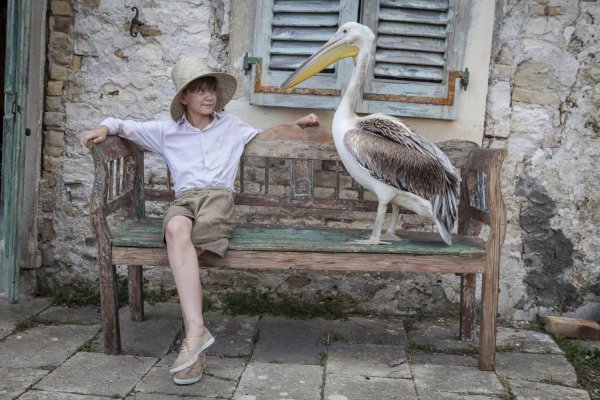 Titulky k The Durrells S01E03 - Episode 3