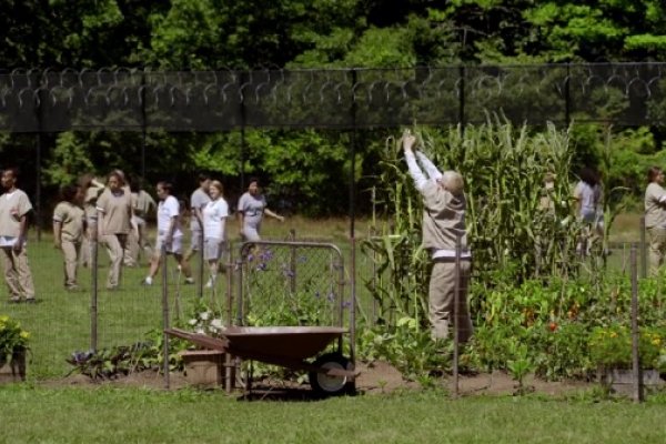 Titulky k Orange Is the New Black S04E04 - Doctor Psycho